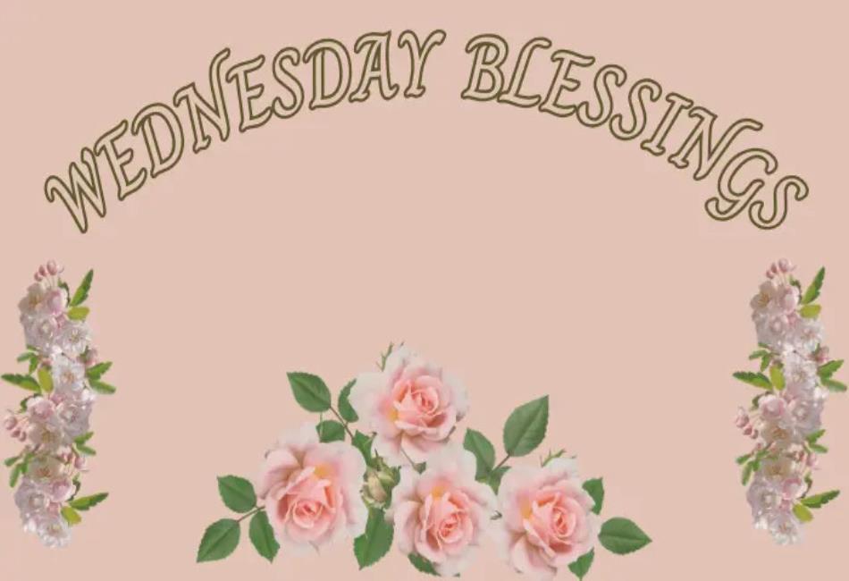 Happy Wednesday Blessings: A Midweek Boost of Positivity